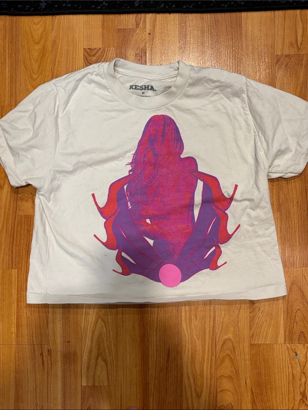 Kesha Tour Shirt